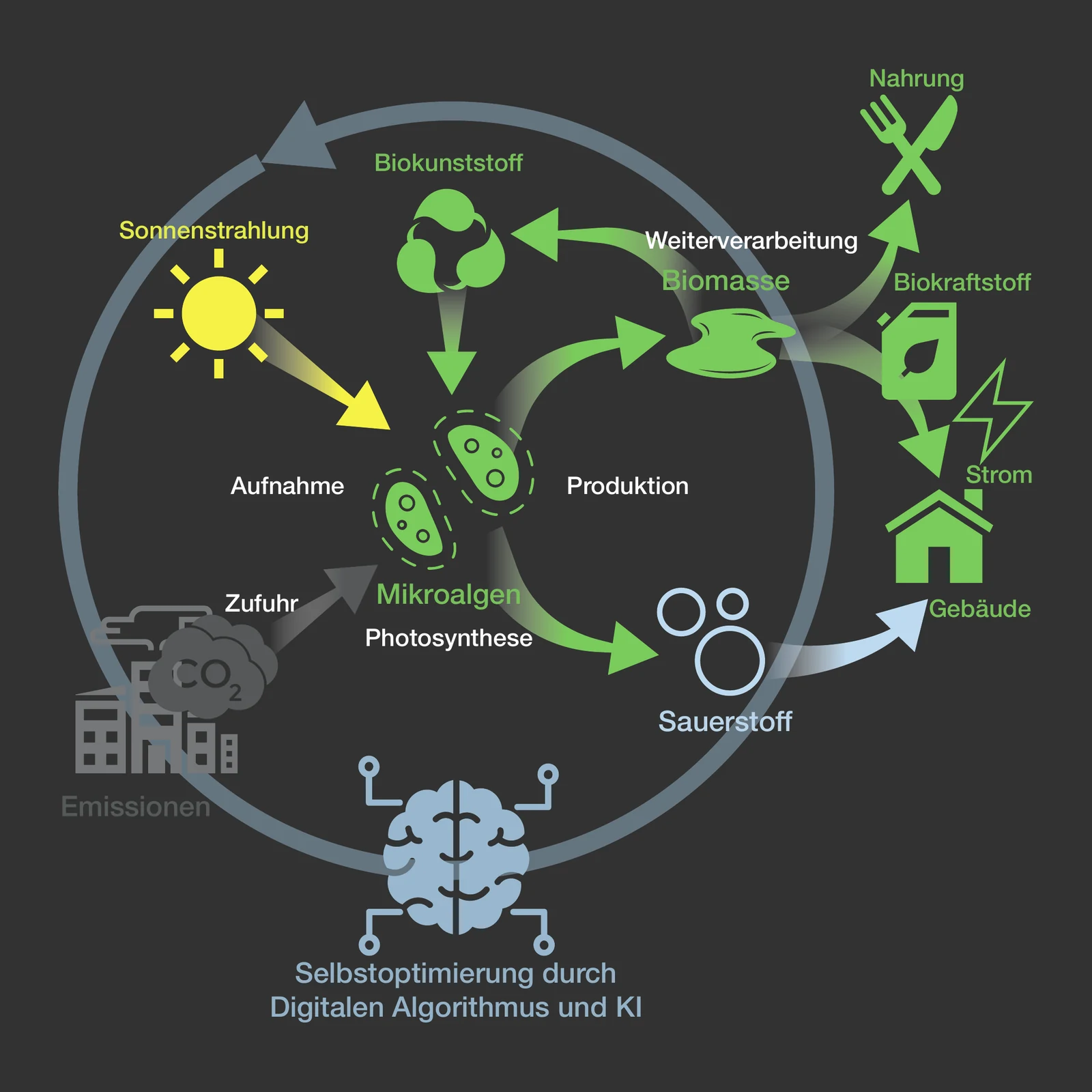 Pictogram of the ecological system: microalgae take up emissions and sunlight and yield oxygen and biomass for bioplastics, biofuel and food, regulated by a digital algorithm with AI