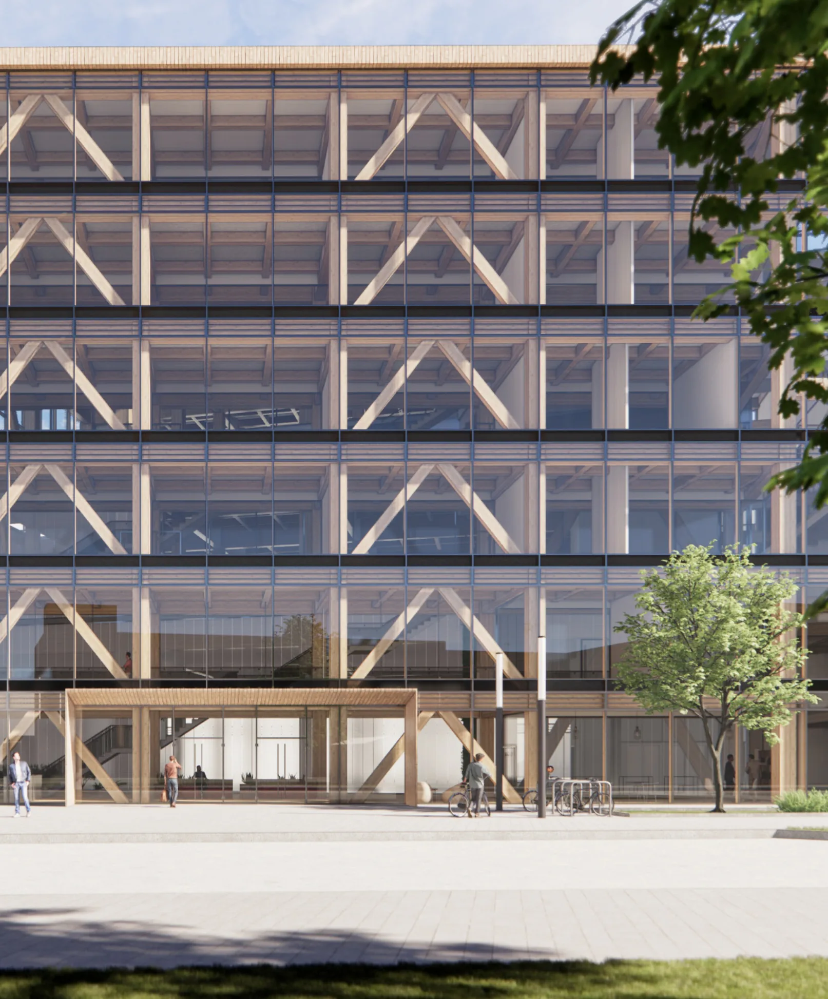 Main entrance with timber structure behind the glass facade
